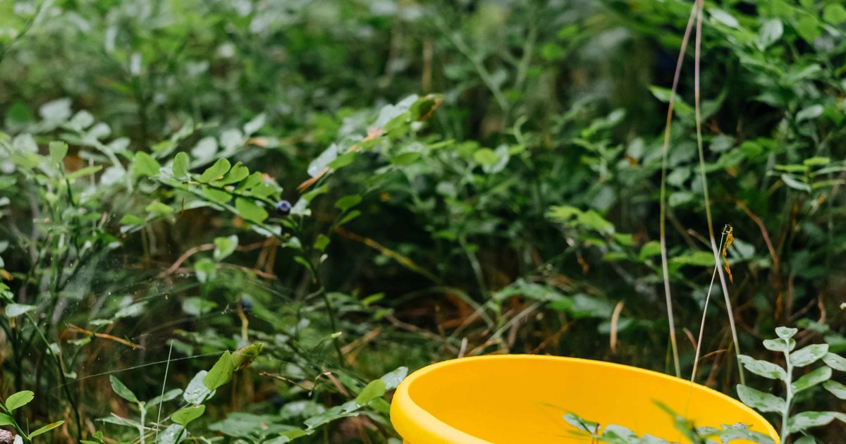 抹茶専門店 510 - 的圖片